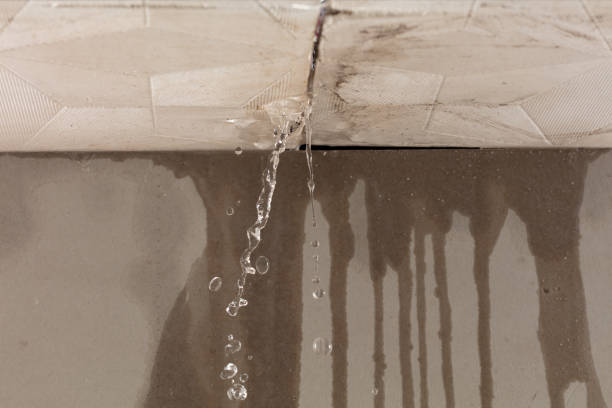 Professional Burst Pipe Cleanup technician working in Thornton, TX